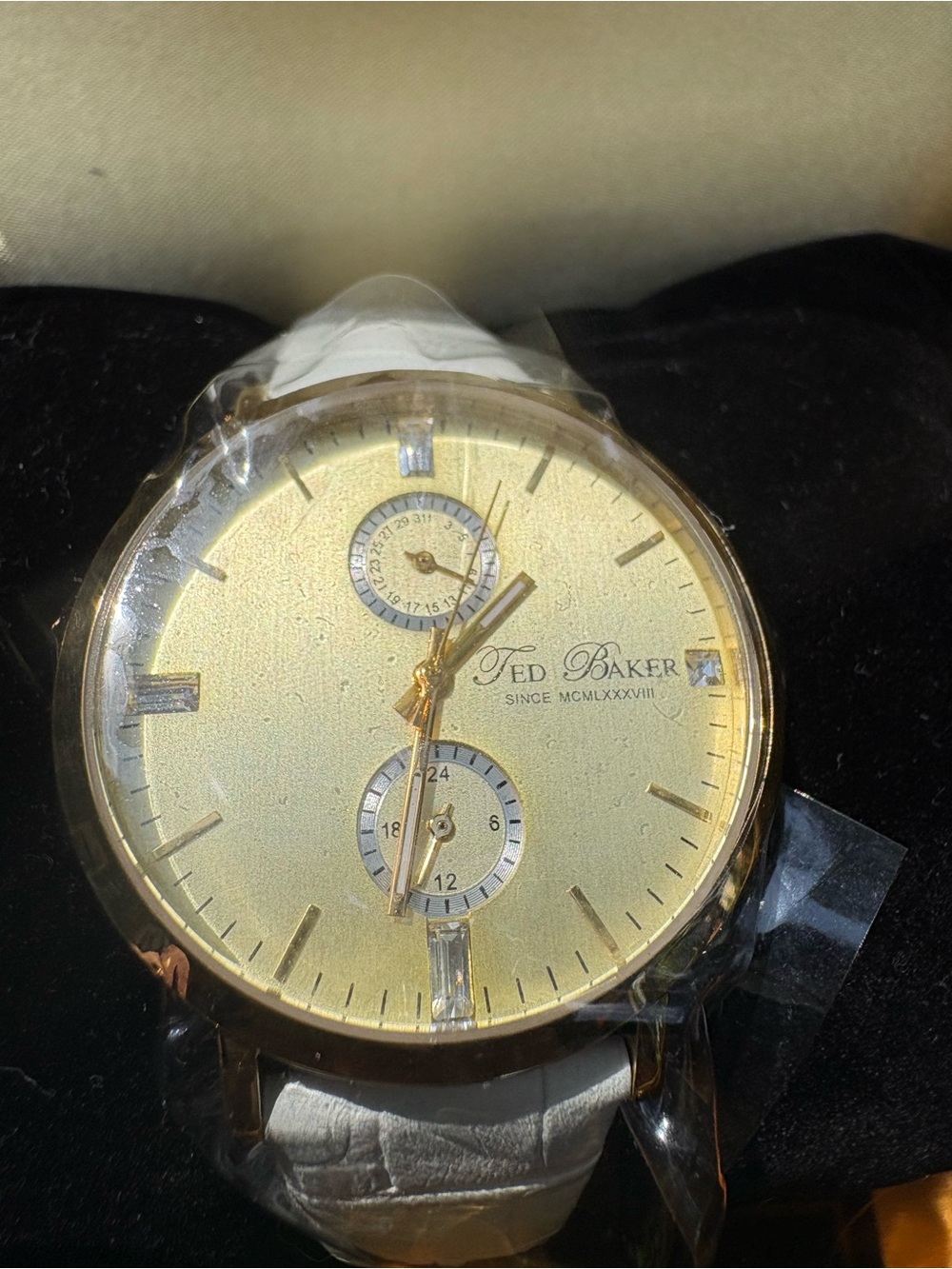 Ted Baker White Leather Watch Strap with Gold-Tone Clasp